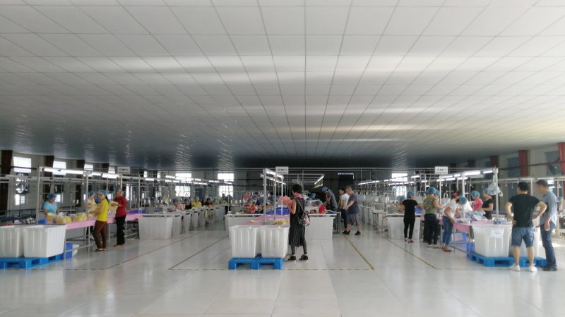 森榮手袋越南工廠正式投產實景拍攝 森榮手袋越南工廠正式投產實景拍攝